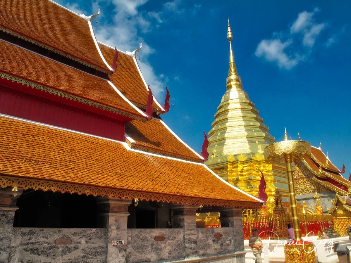 Chaing Mai_IMG_1914-1.jpeg