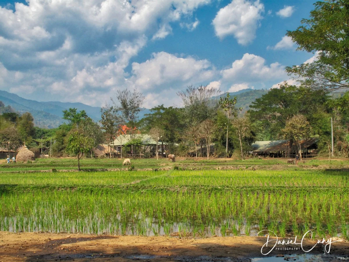 Chaing Mai_IMG_2004-1.jpeg