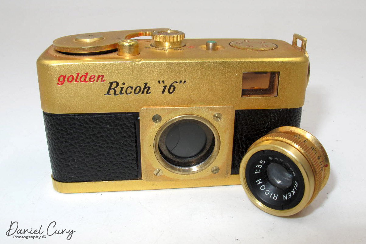 Golden Ricoh 16_20 copy.jpg