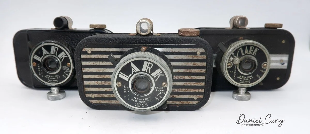Lark-Cameras_3.jpg