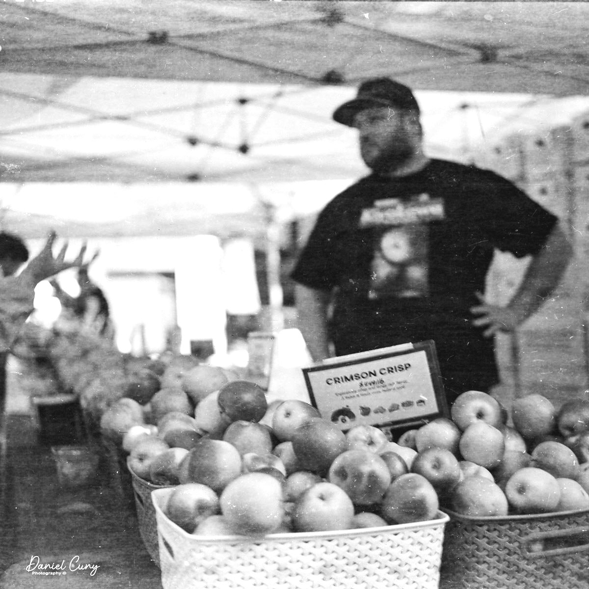 Apples are big in Washington &amp; Oregon