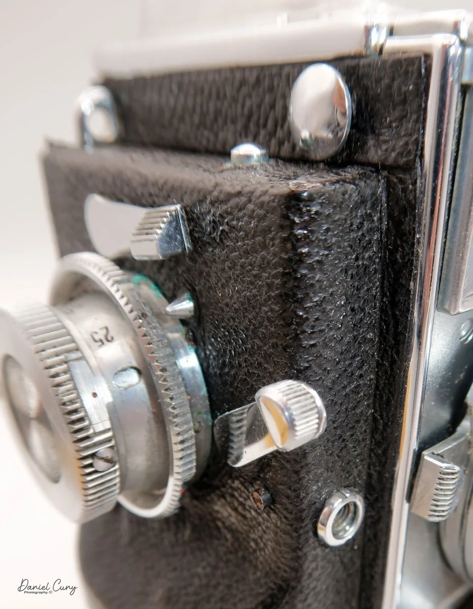 Shutter release and self timer on top.