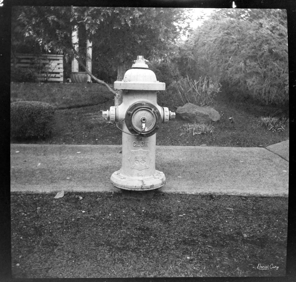 Fire Hydrant