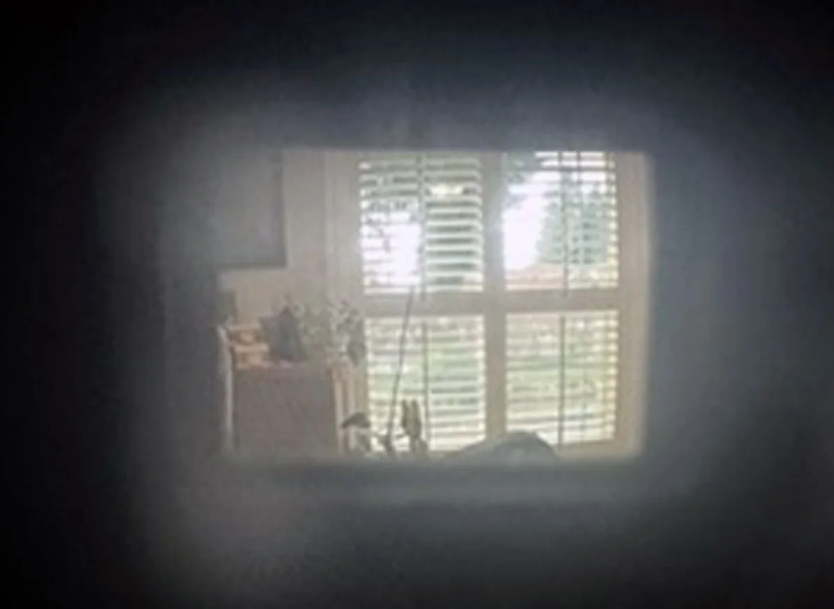 Viewfinder image