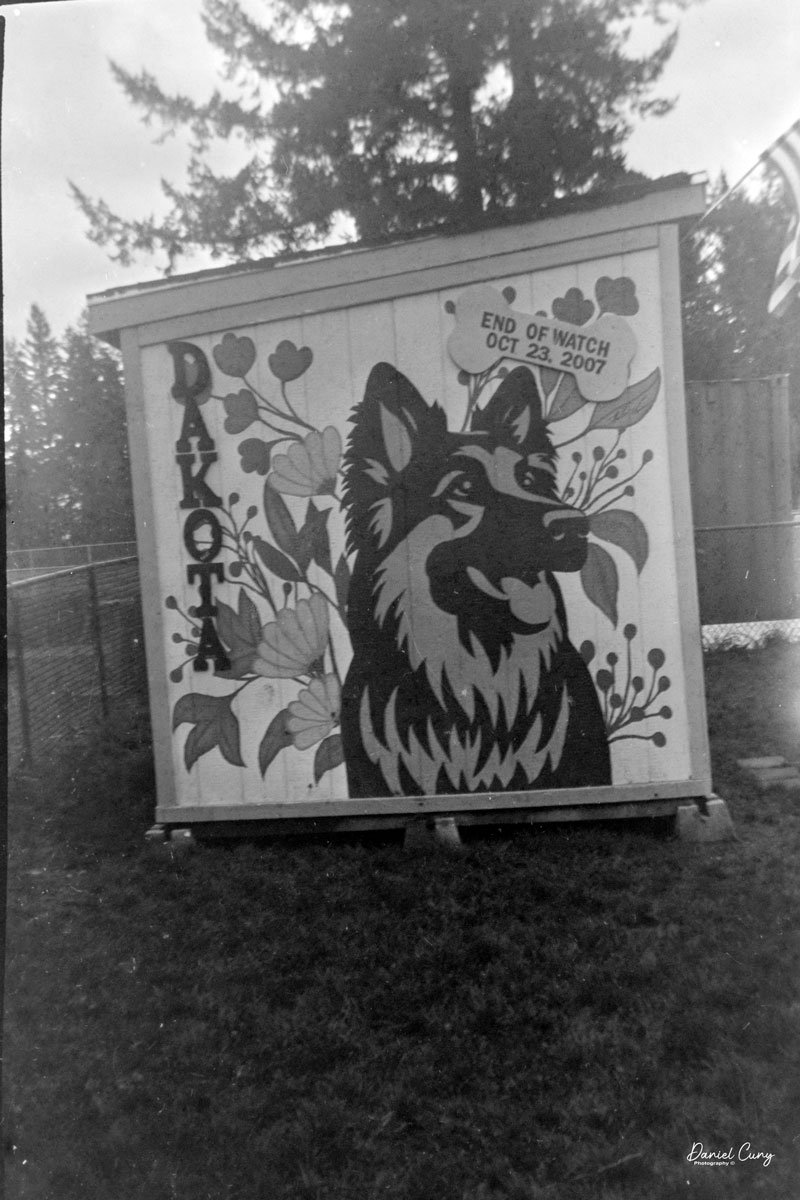 Mural in the dog park