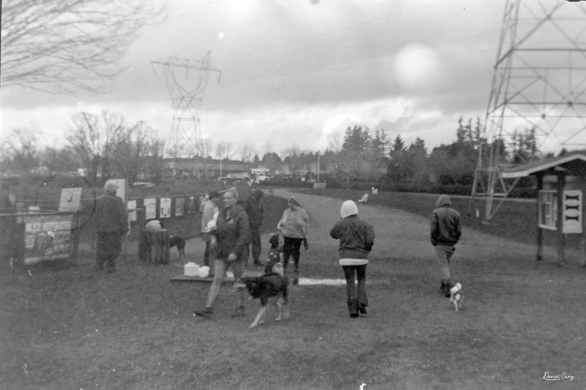 Gathering at the dog park