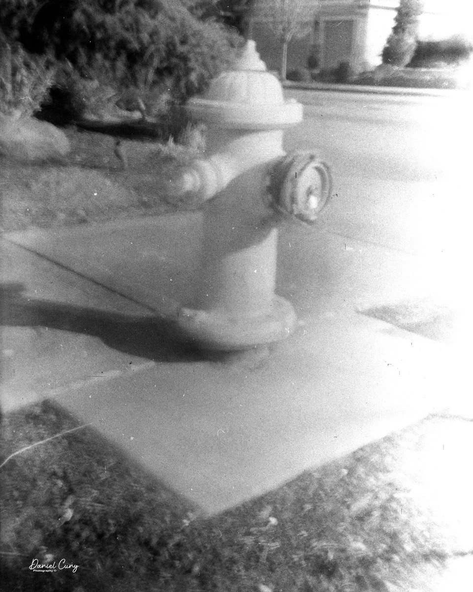 "Success! Once mastered, the Rokuoh-sha lens produces a unique, soft vintage character that’s hard to replicate.