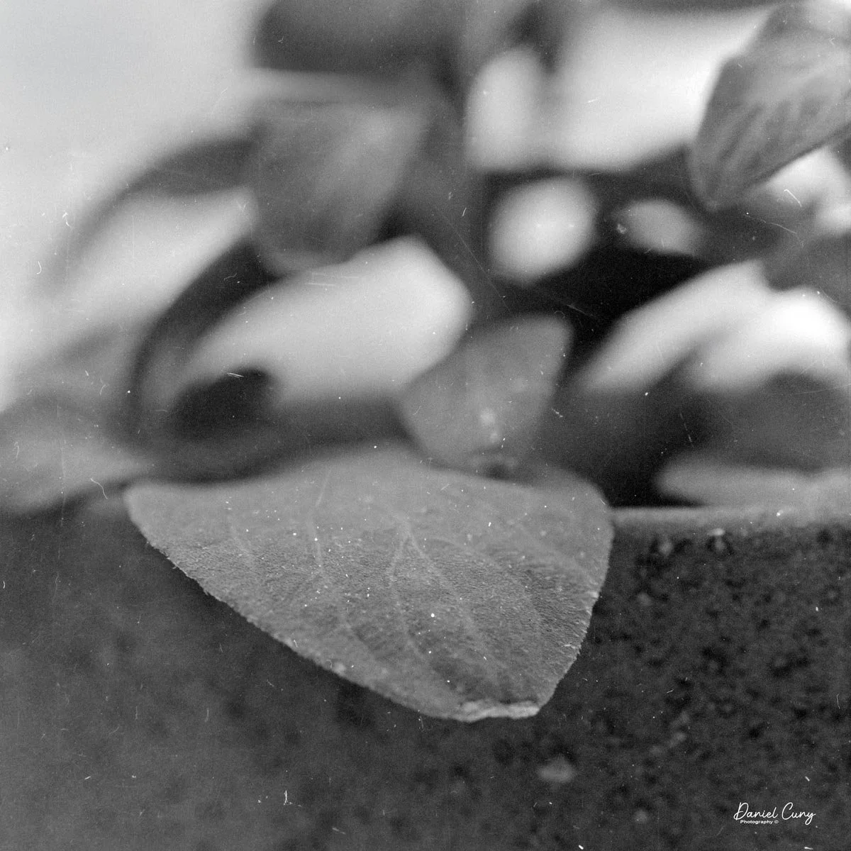 Reversed lens position.