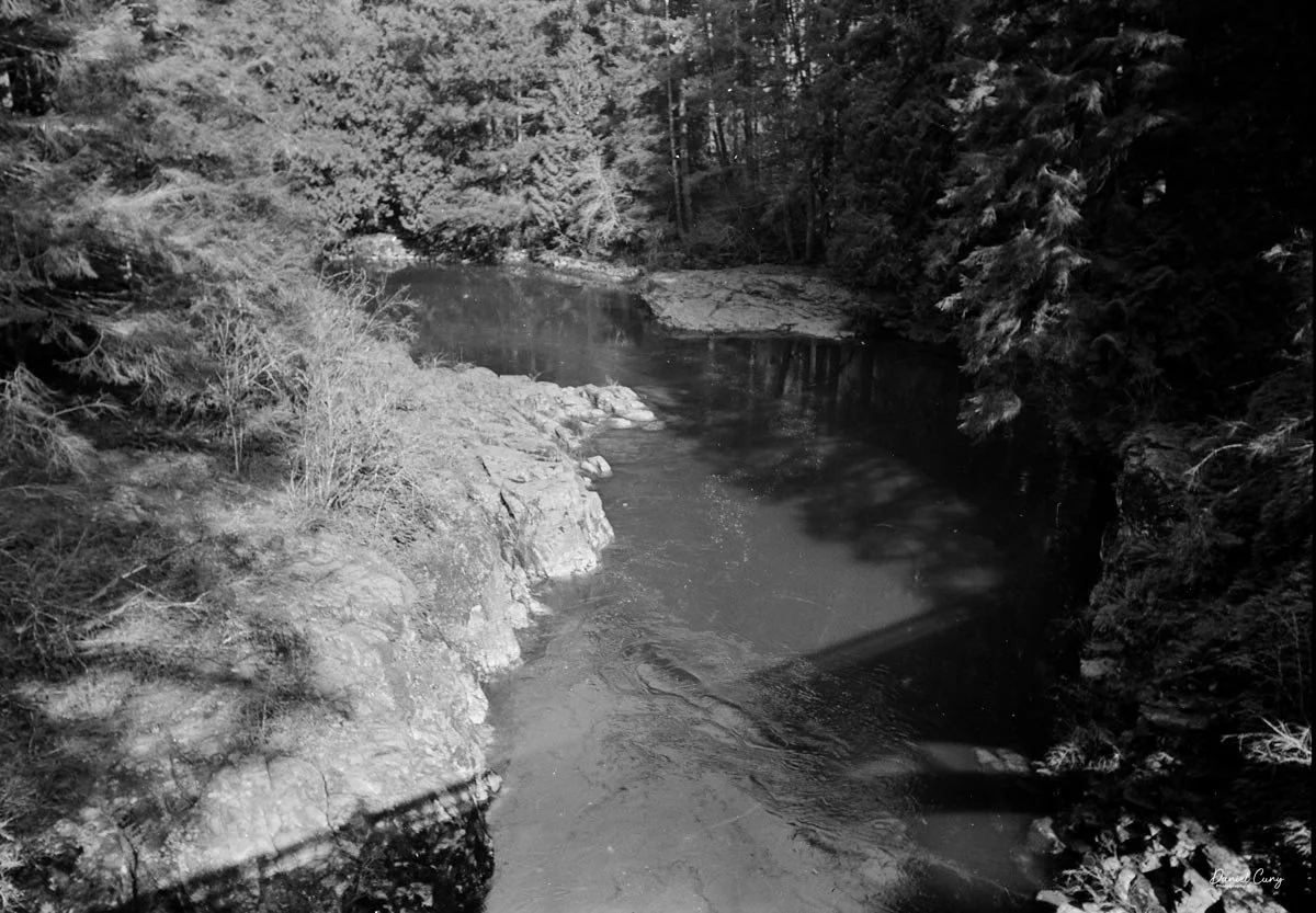 View from the bridge