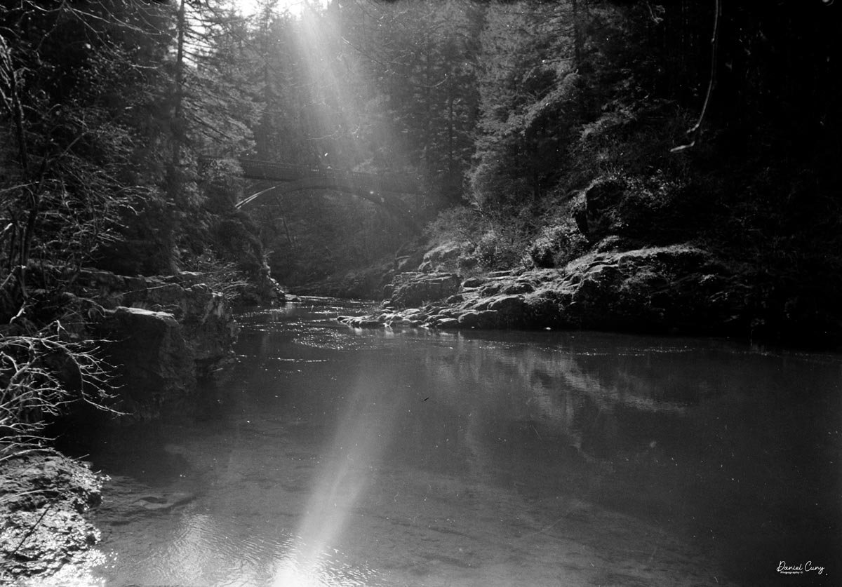 Looking up at the bridge