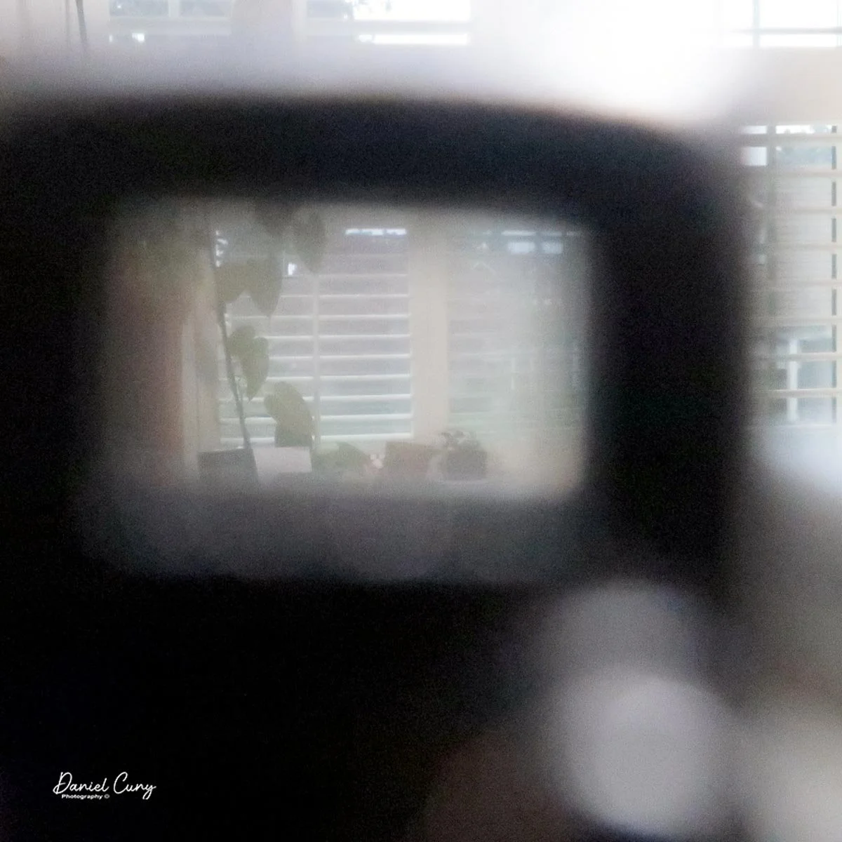 Looking through the viewfinder