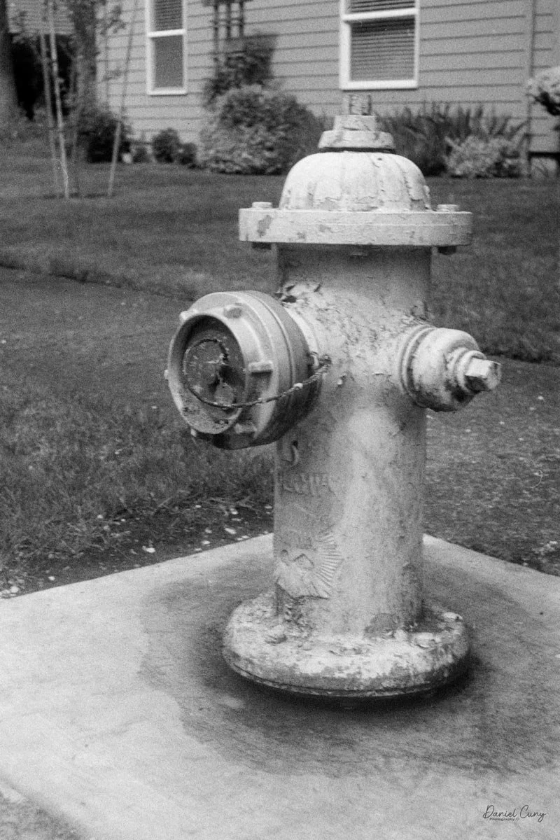 Fire Hydrant