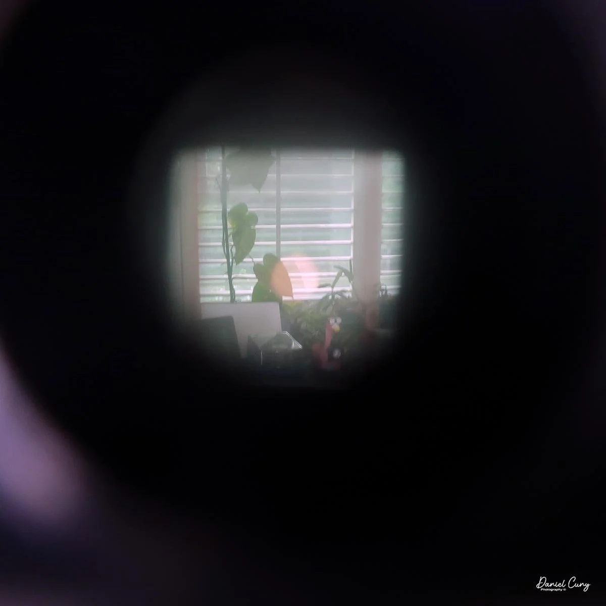 Looking through the rangefinder