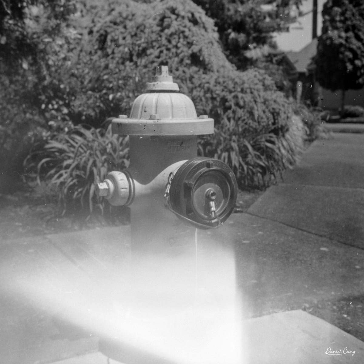 Fire Hydrant