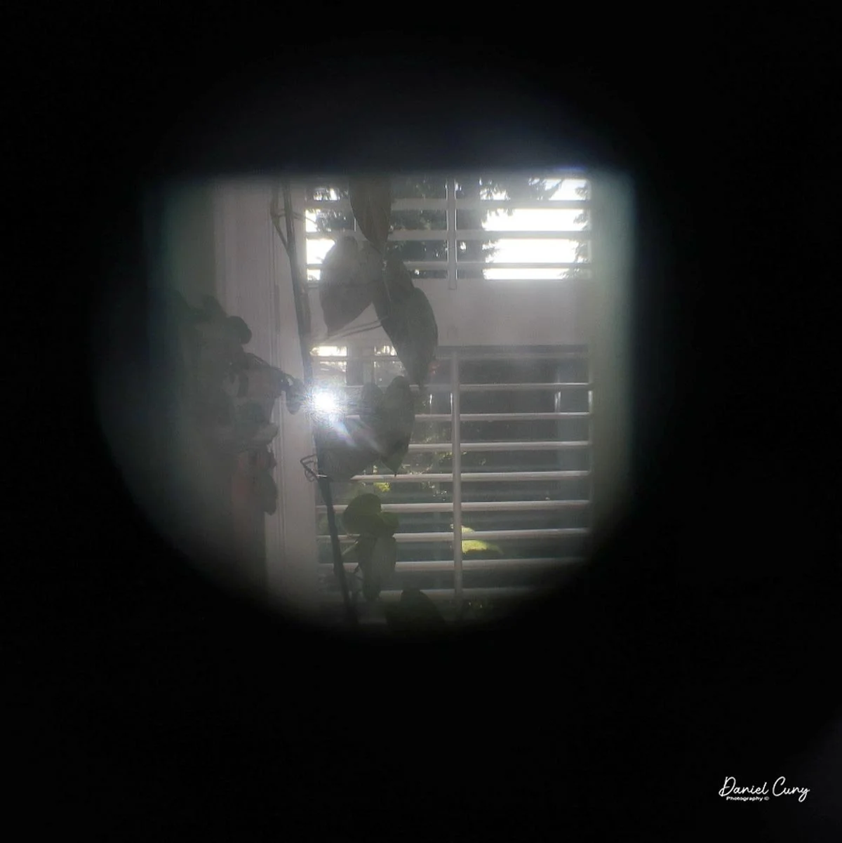 Looking through the viewfinder