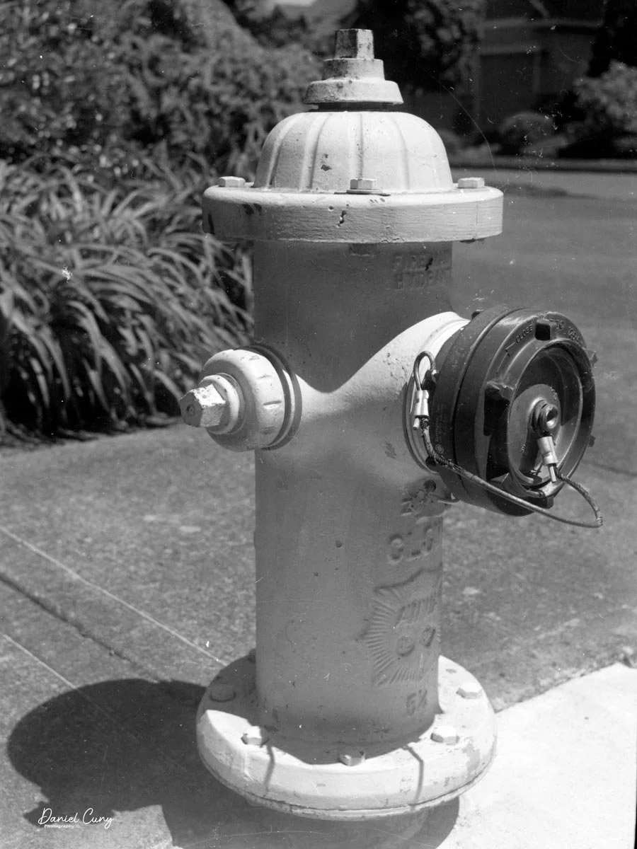 Fire Hydrant
