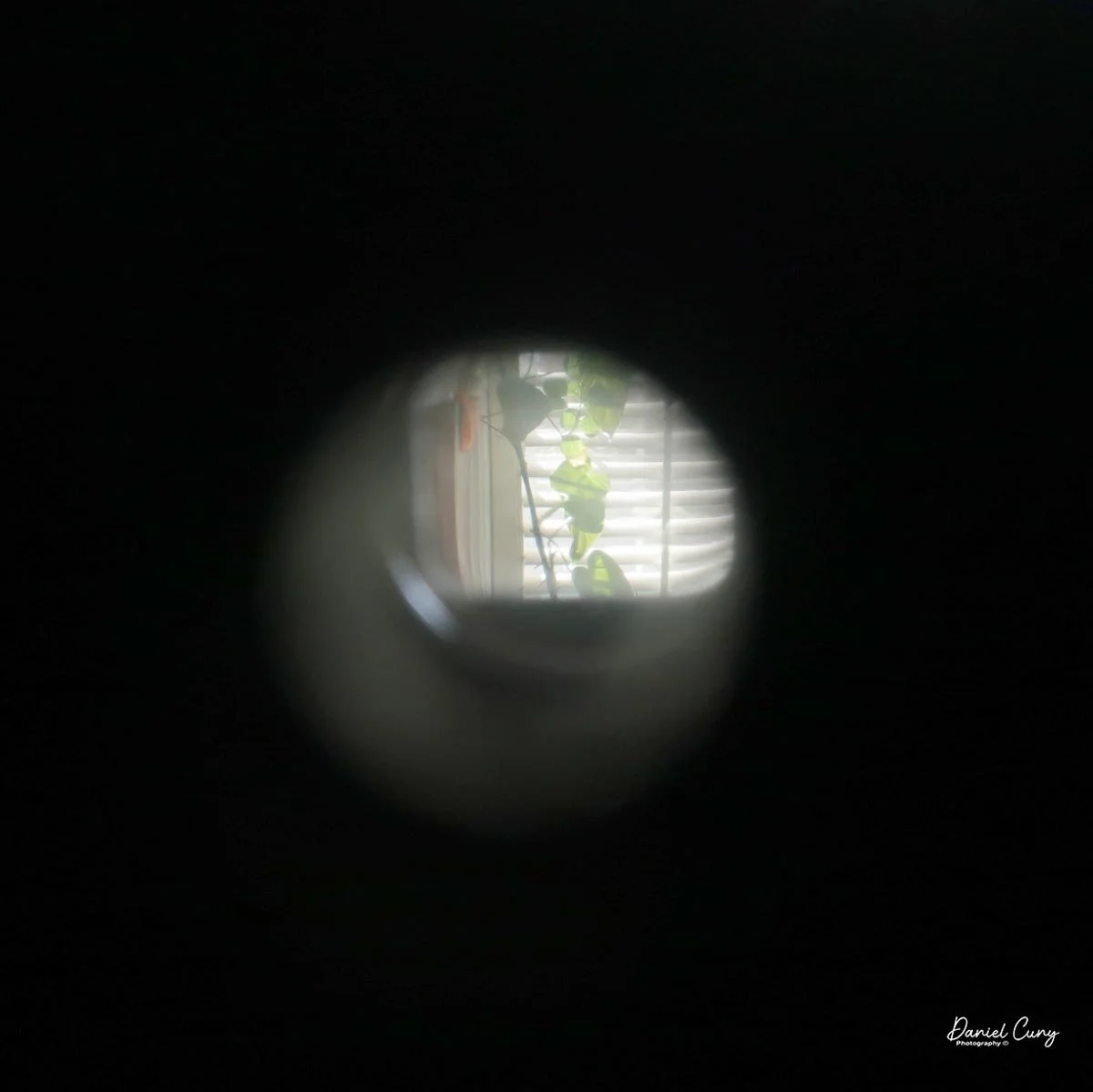 View through eye level finder