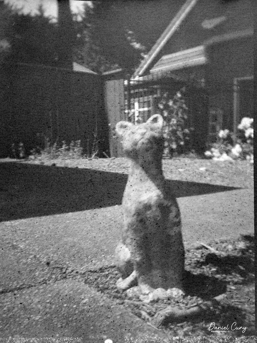 Cement Cat