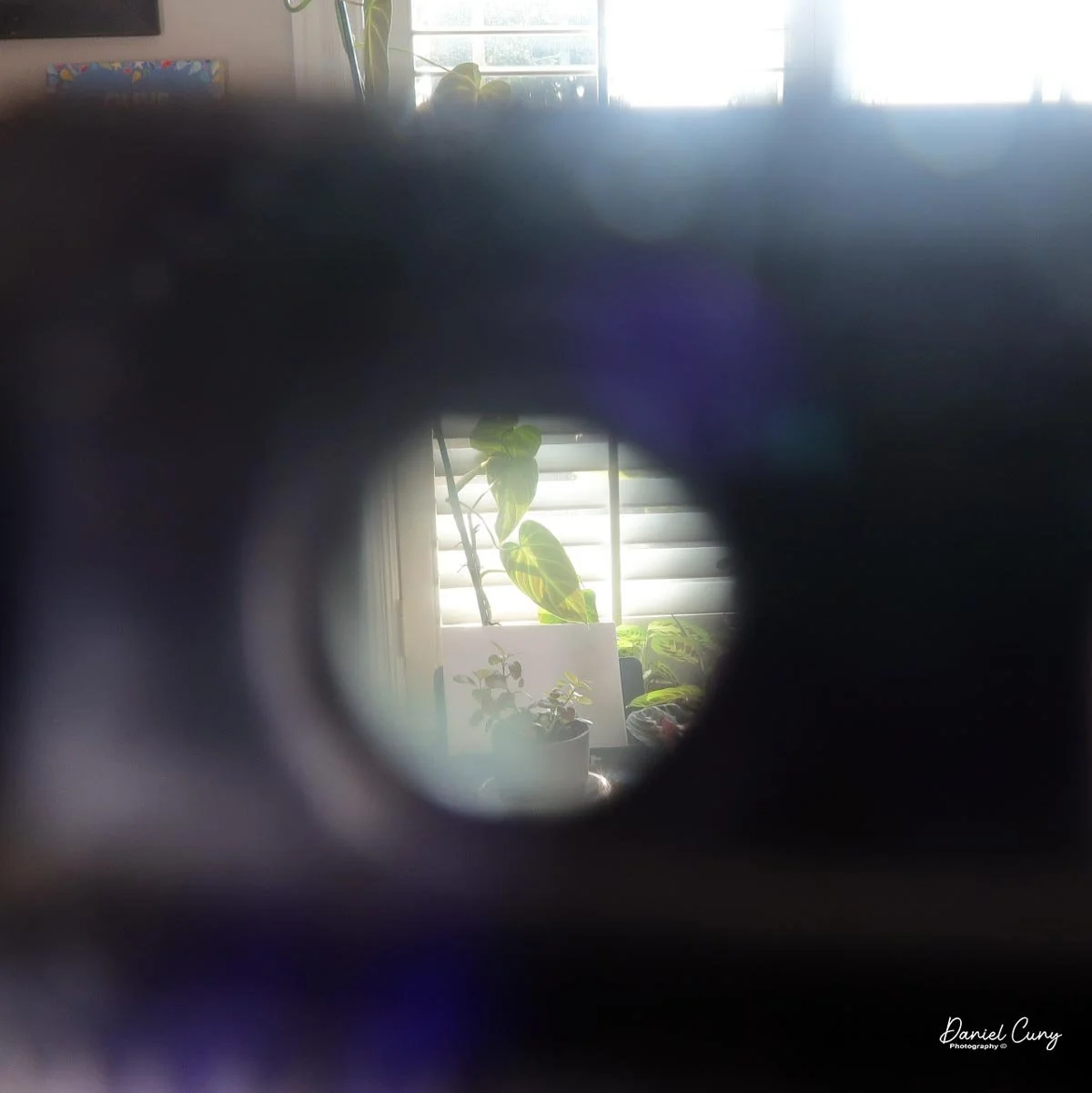Looking through viewfinder