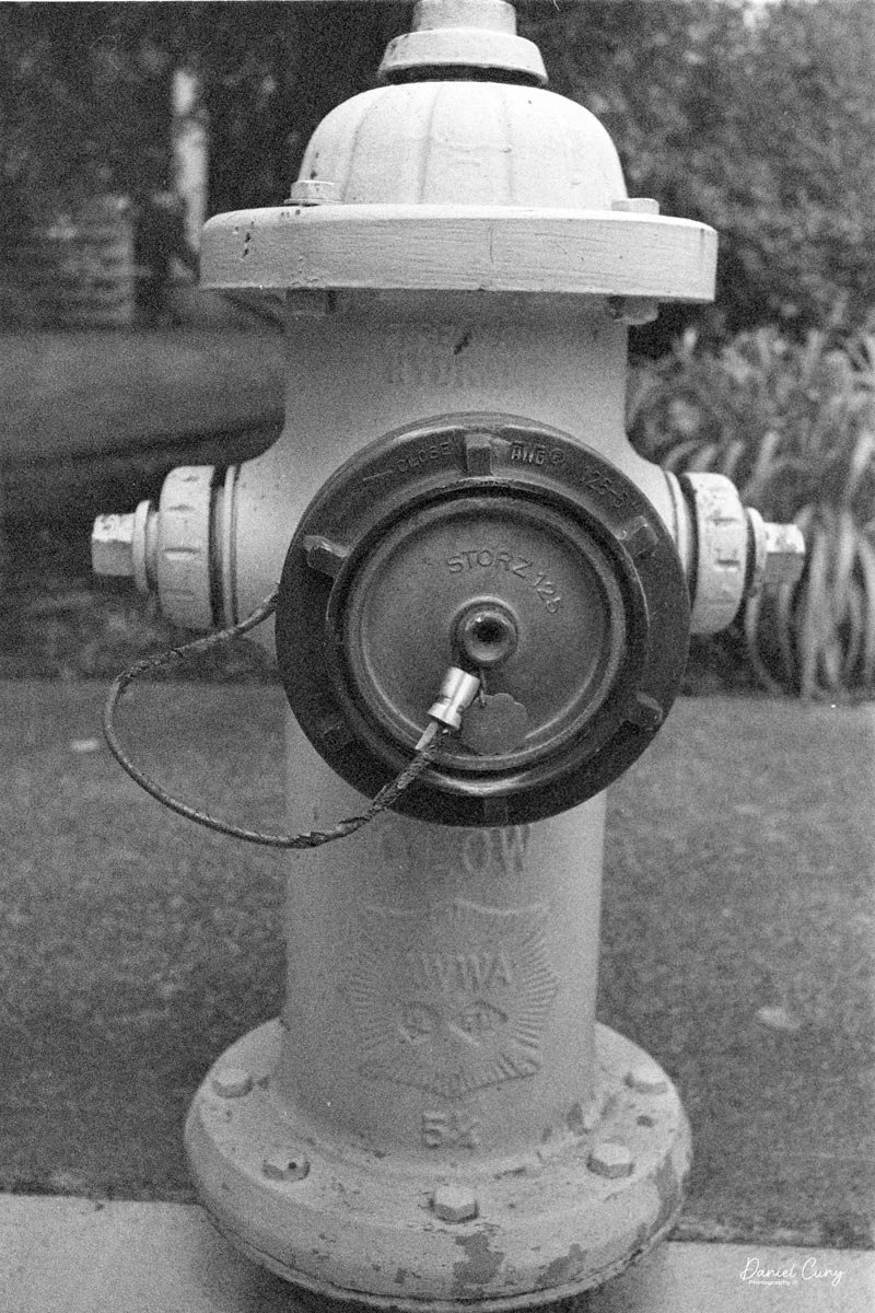 Fire Hydrant