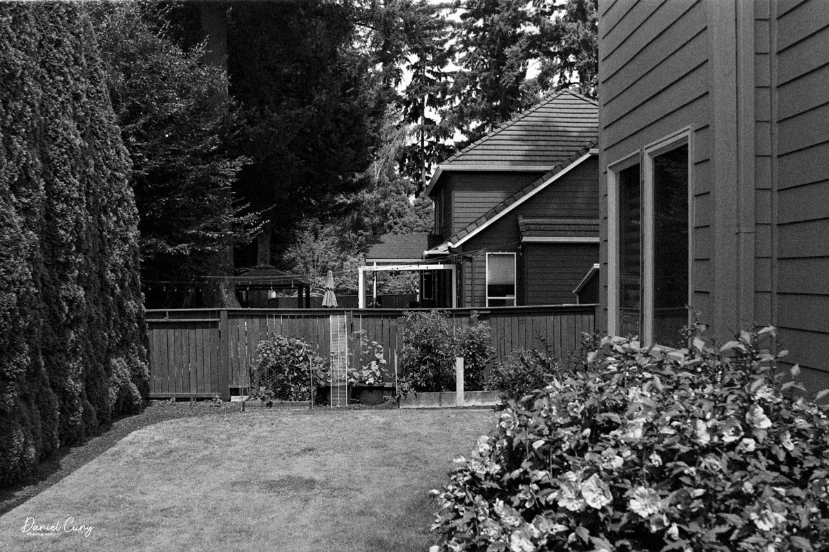 Neighbors house