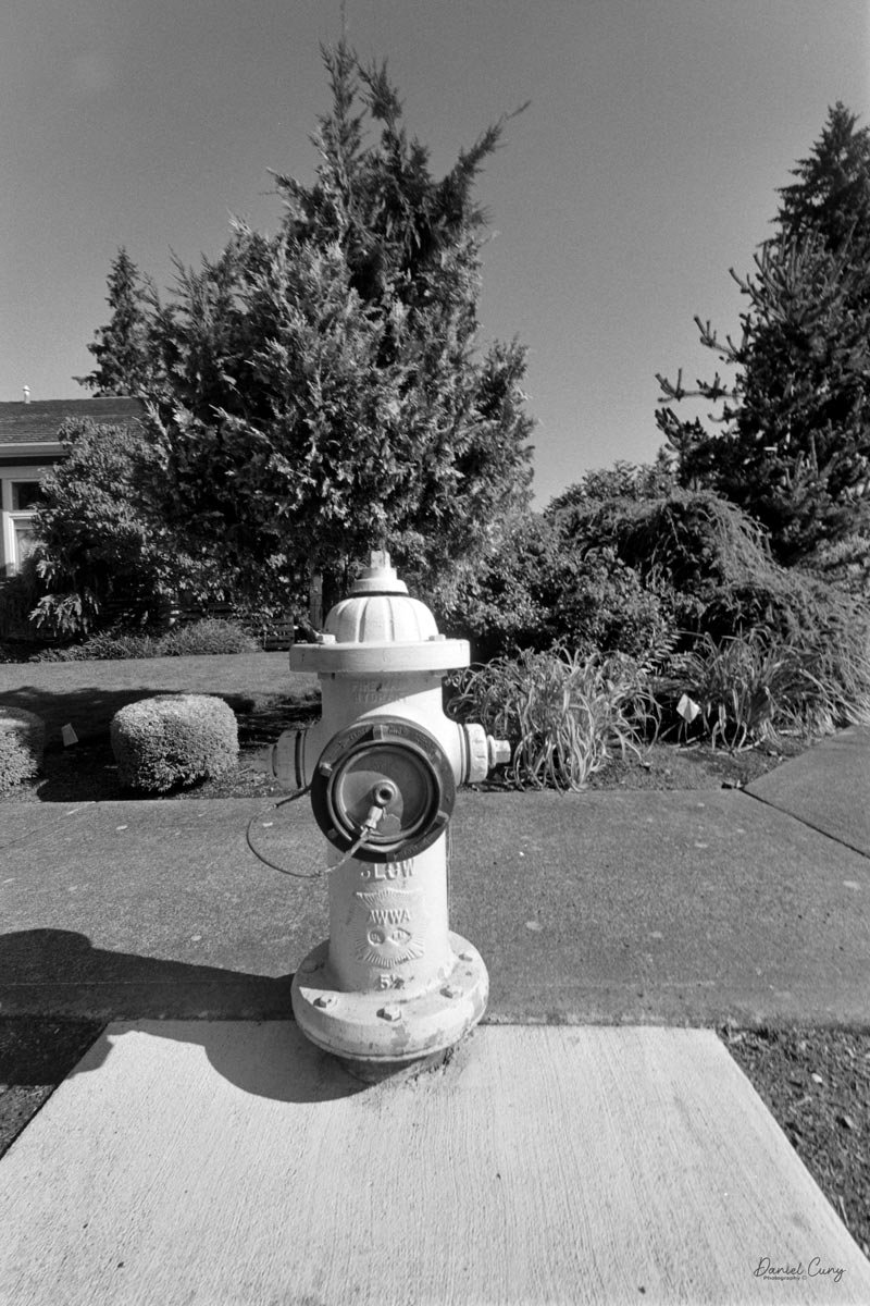 Fire Hydrant