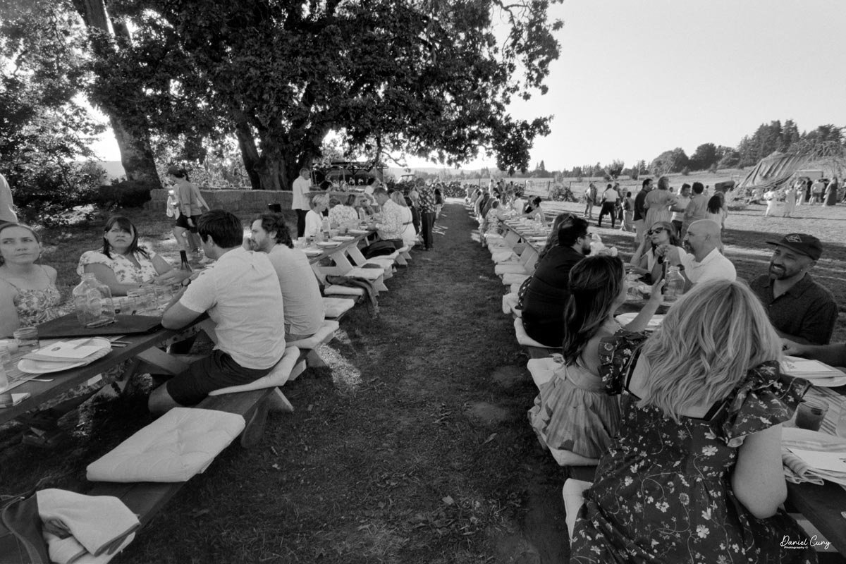 Farm to Table dinner