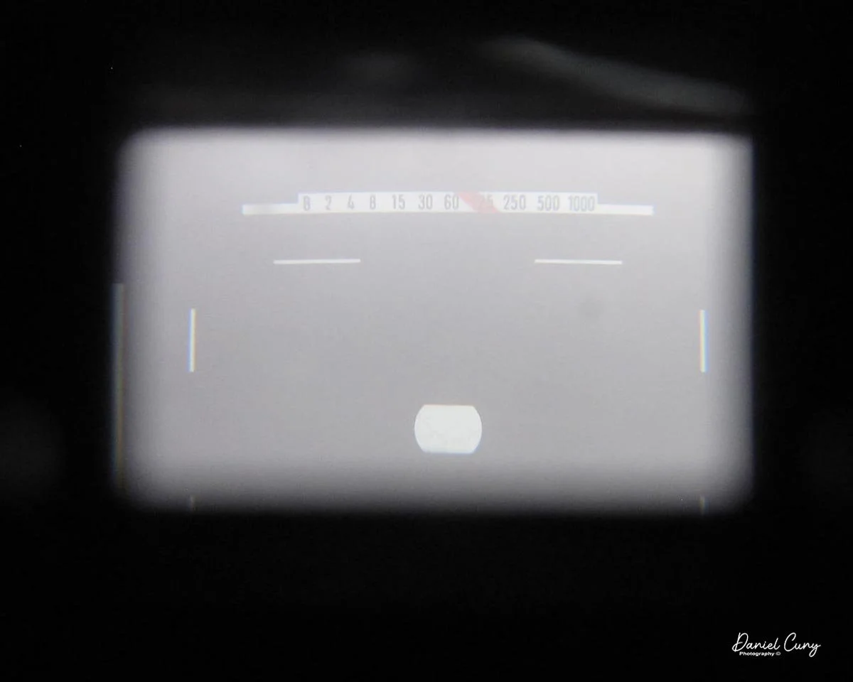 Shutter speeds, and lens lines in viewfinder