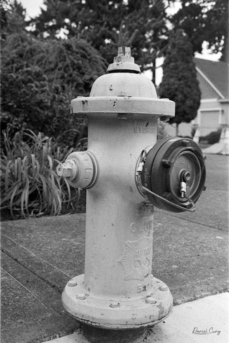 Fire Hydrant