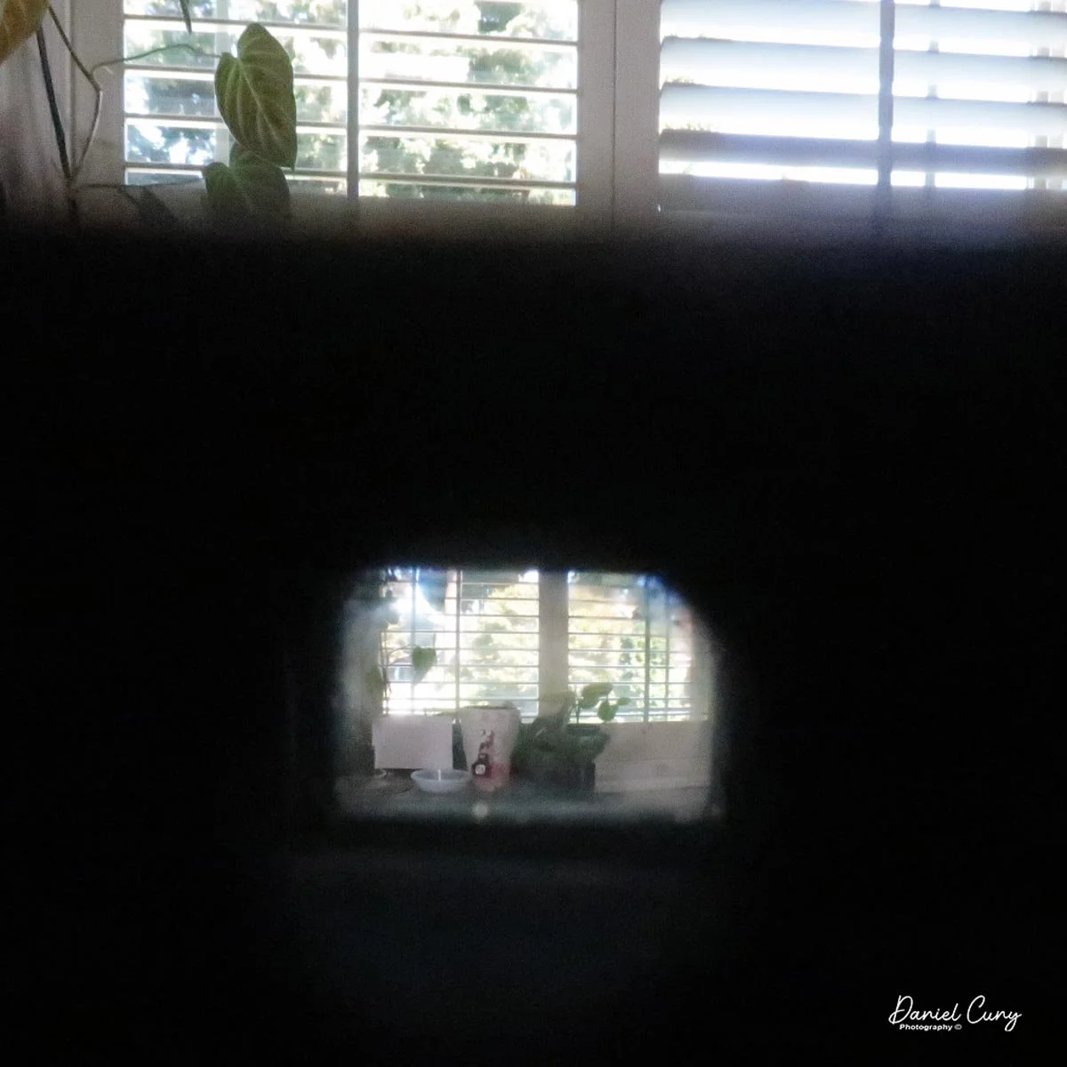 View through viewfinder