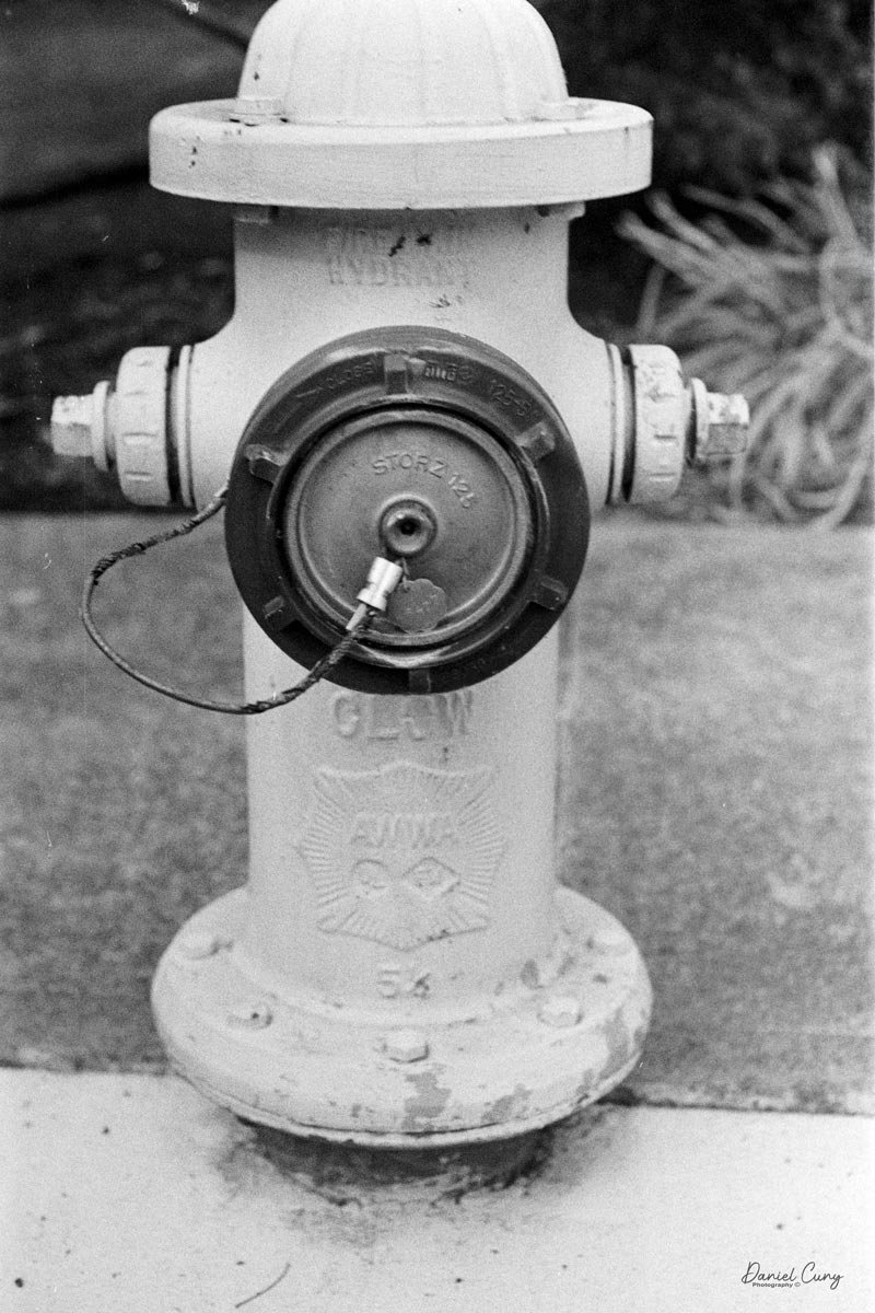 Fire Hydrant