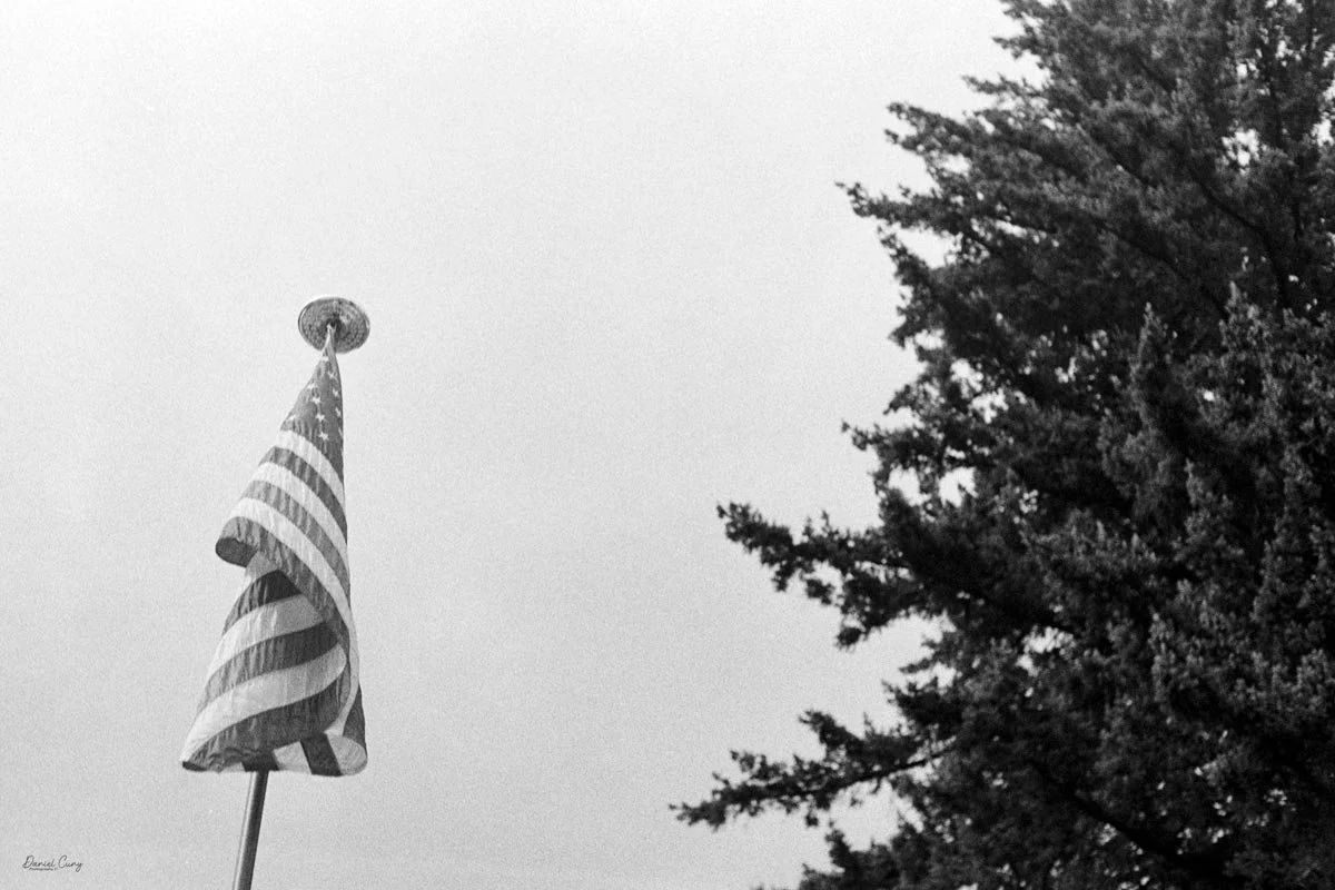 Flag &amp; Tree