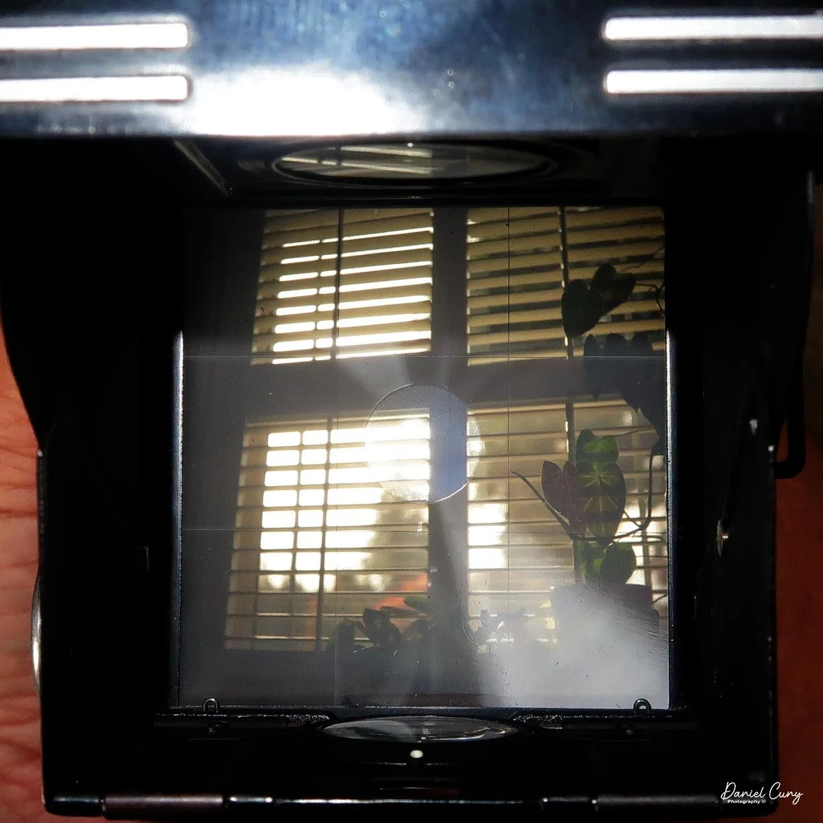 View through waist level finder
