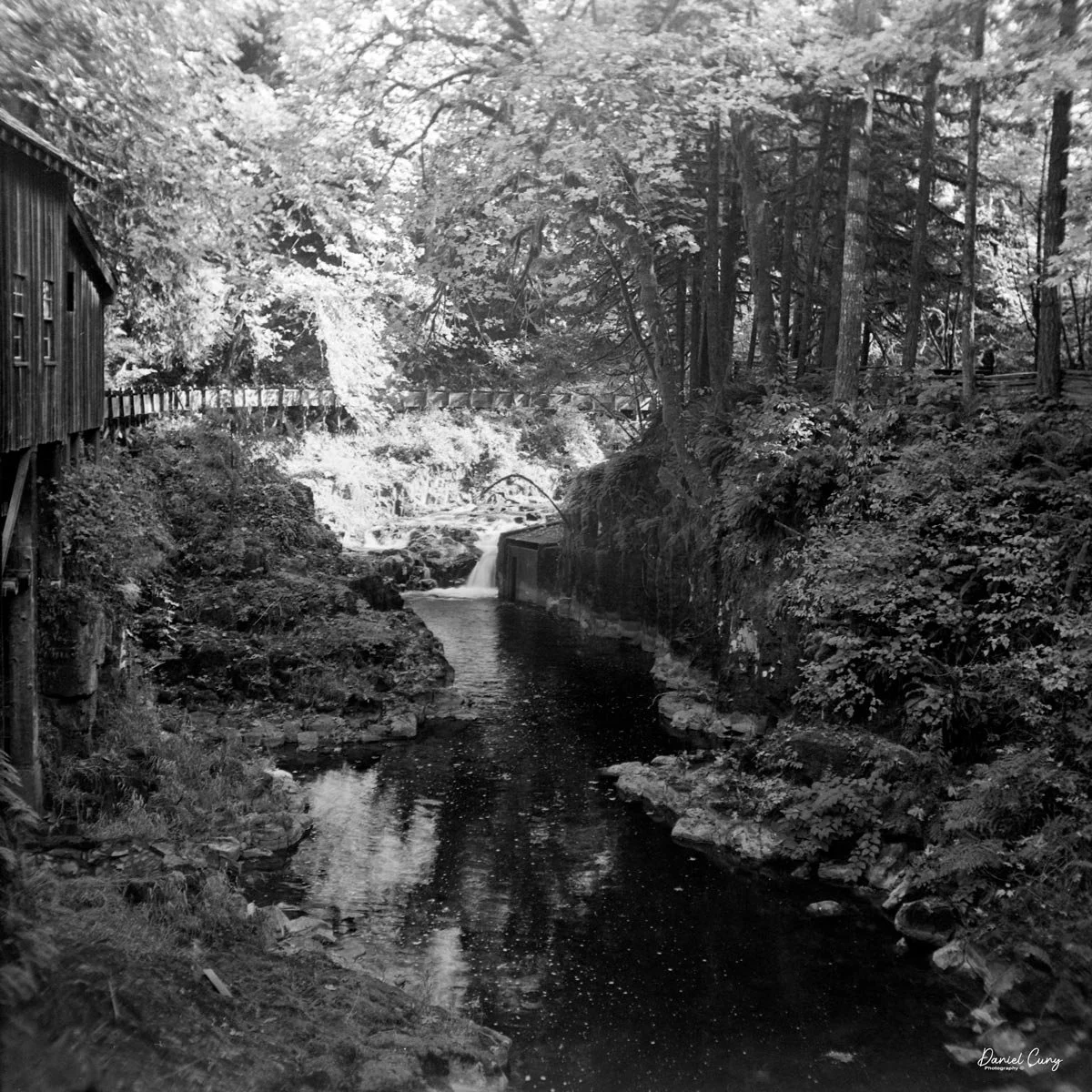 River next to the Cedar Creek Grist Mill