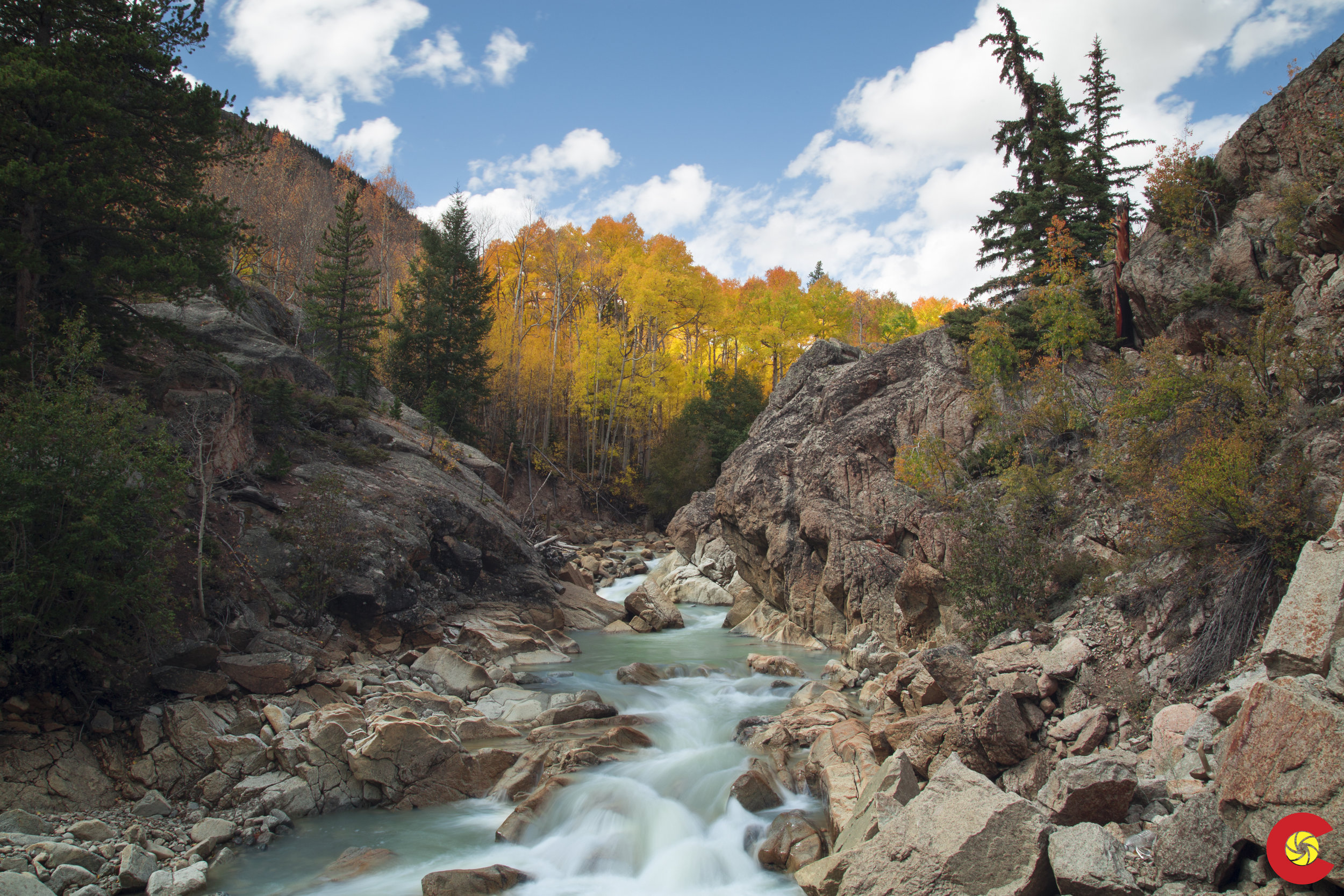 Higher Creek with Fall Trees.jpg