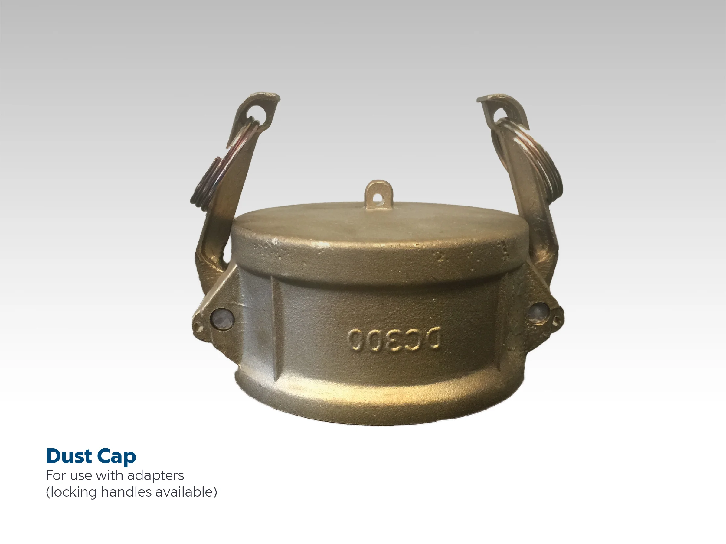 CopperStateRubber-Cam-Groove-DustCap.jpg