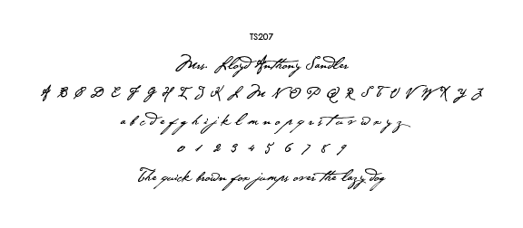 2019TS207.png