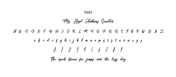 2019TS223.png
