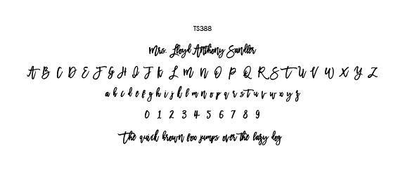 2019TS388.png