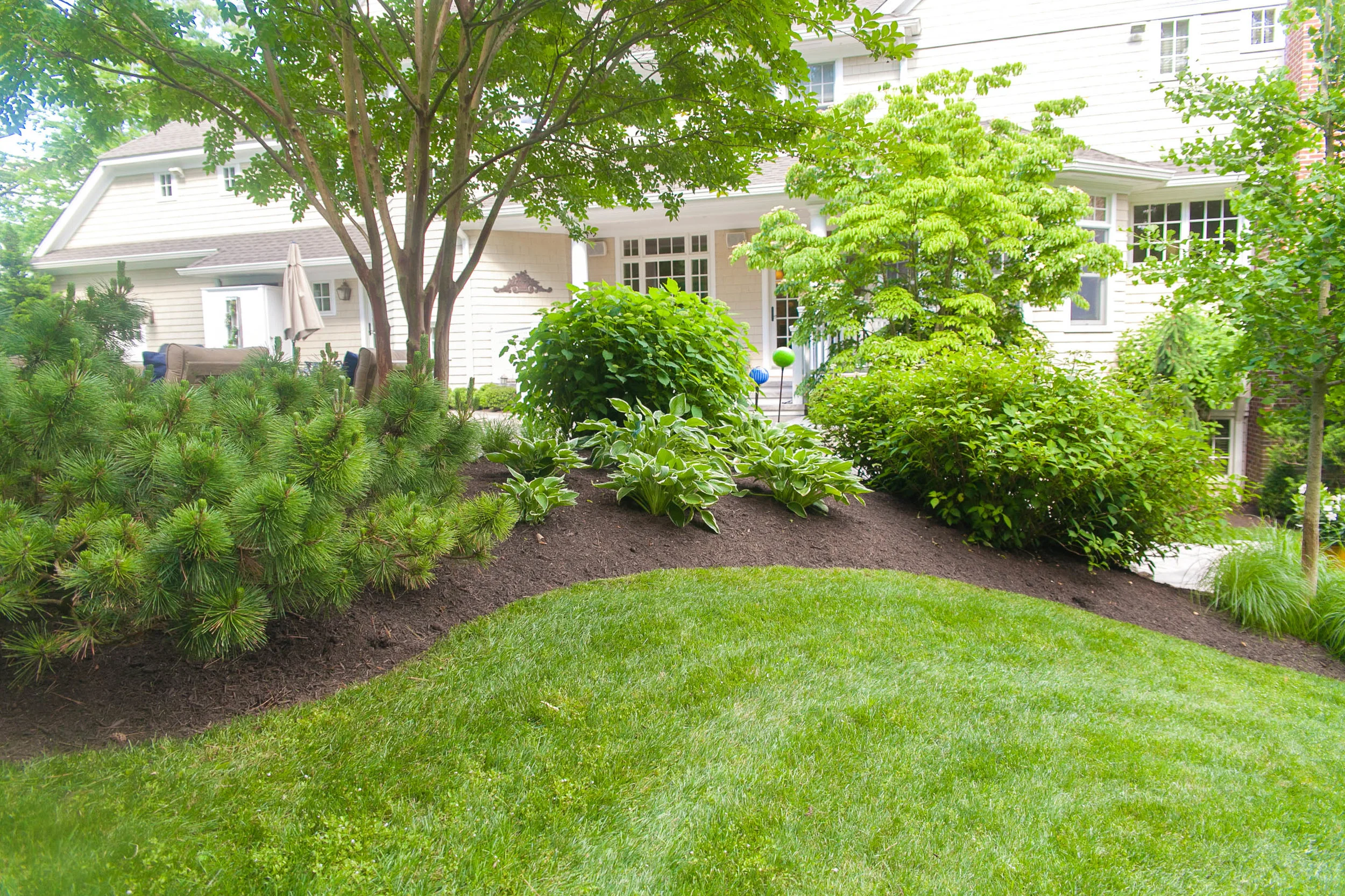 Lawngevity-143.jpg