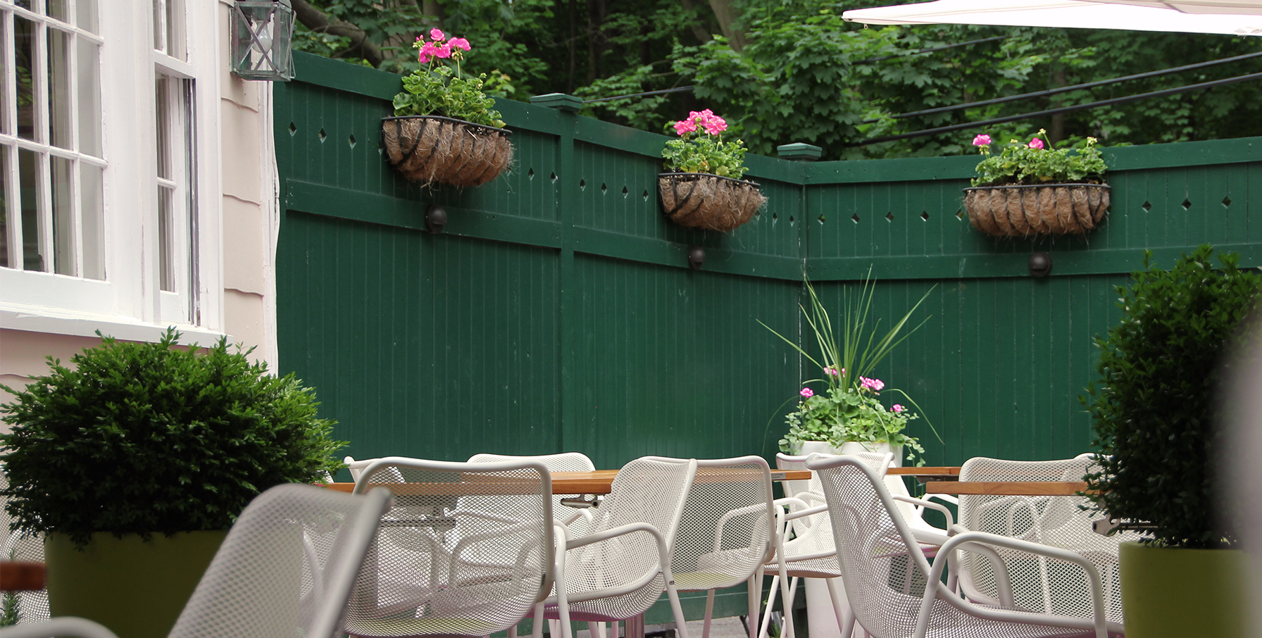 The Basil Leaf Cafe and Restaurant