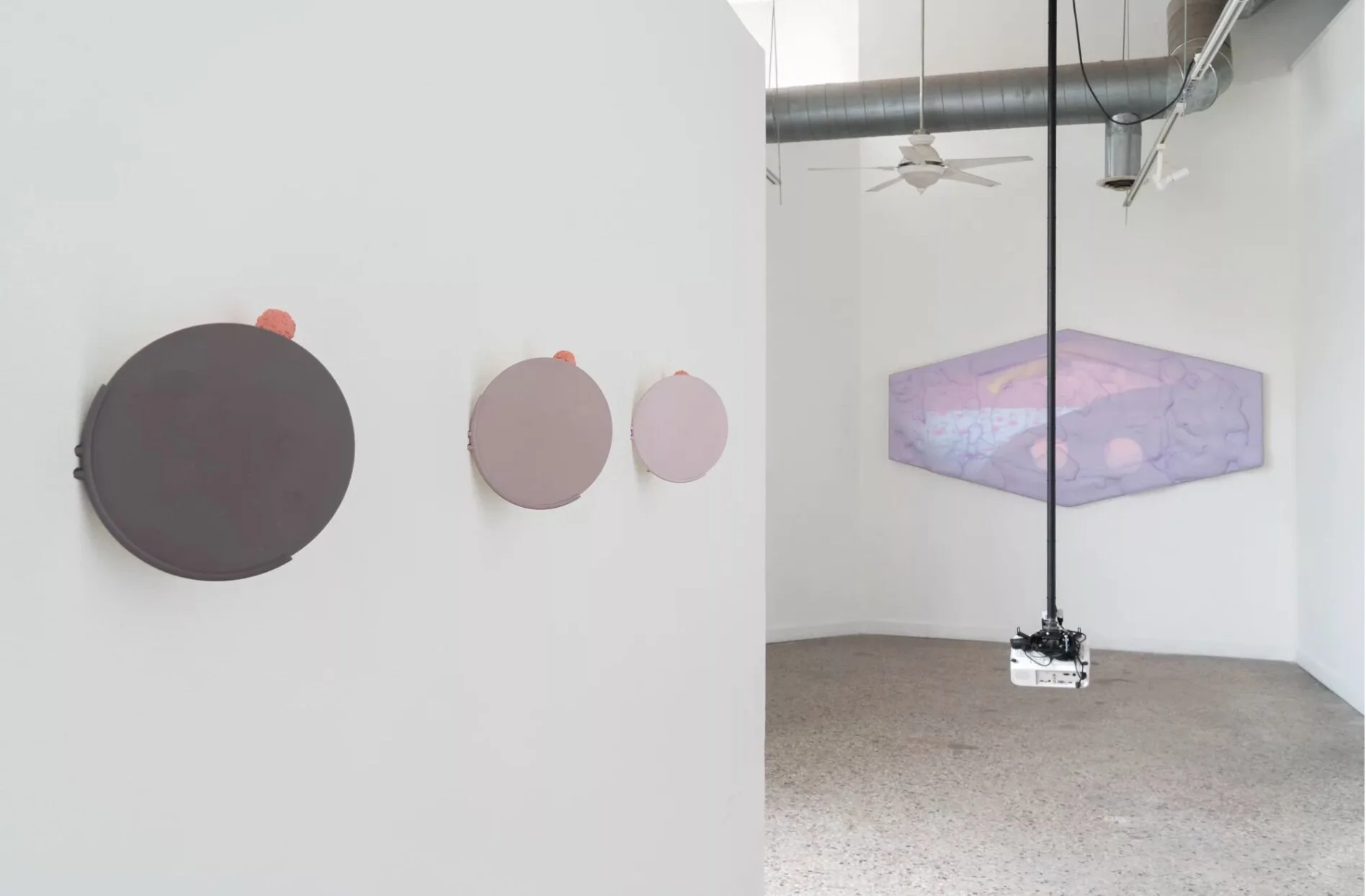 At the Hop: A Virtual Gallery Spotlight on Roots &amp; Culture