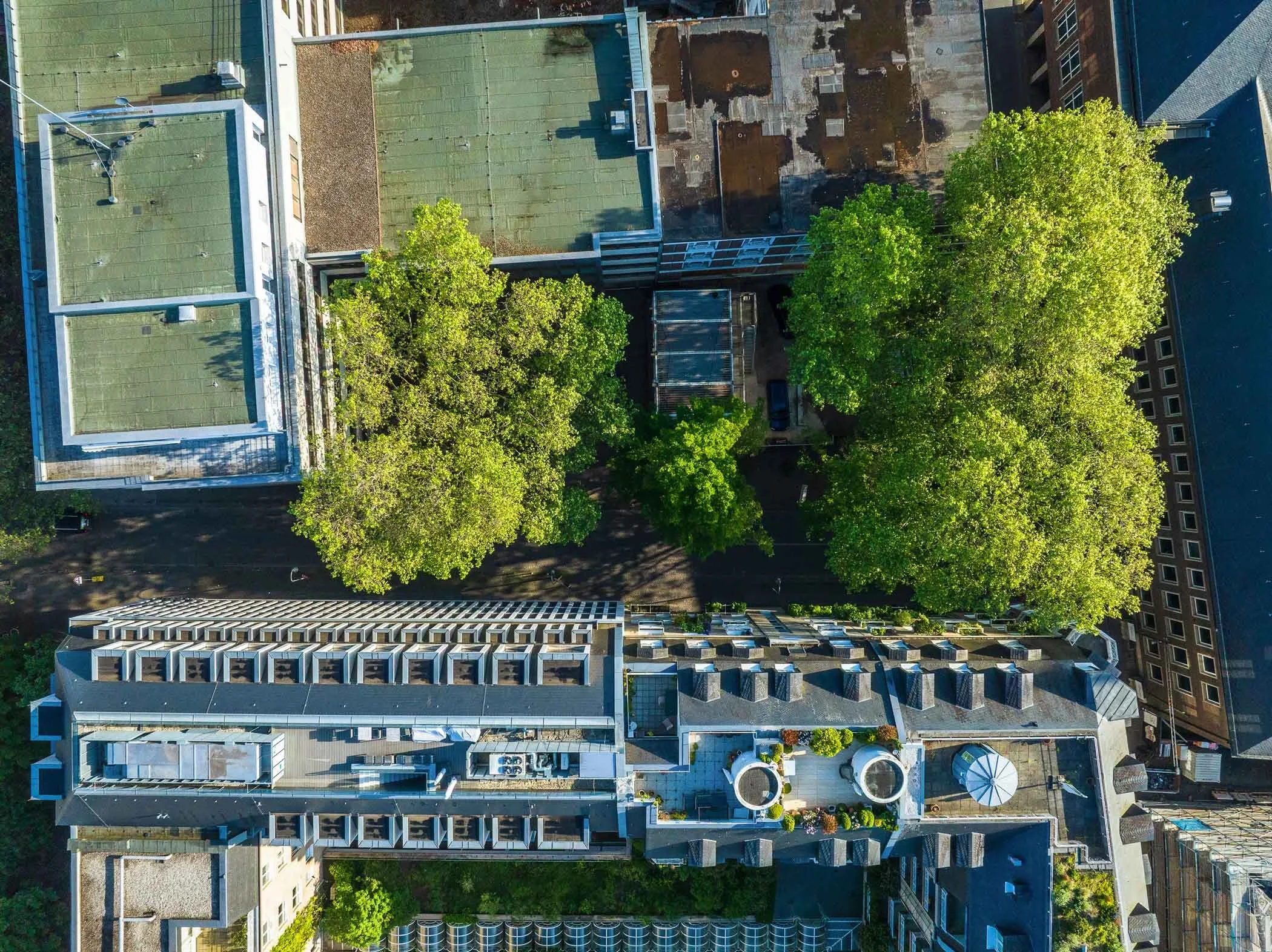 Luftaufnahme des Laurenzplatz
