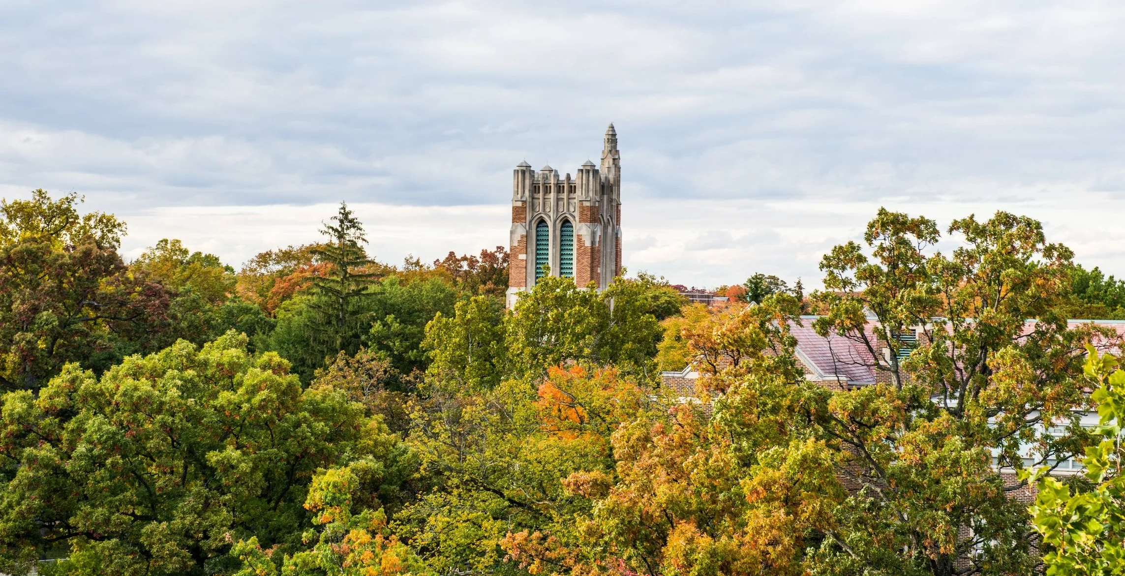 Michigan State Campus.jpg