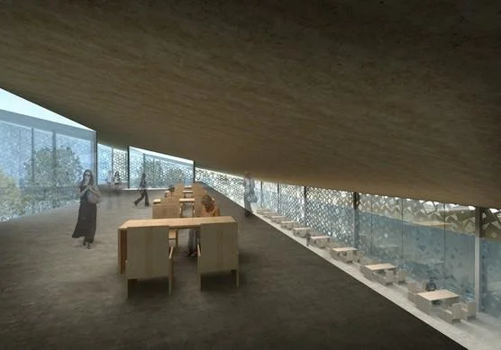 556x389_L_library_2.jpg