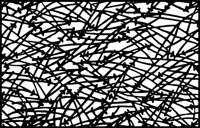 Bio-Green-House-5_670.png
