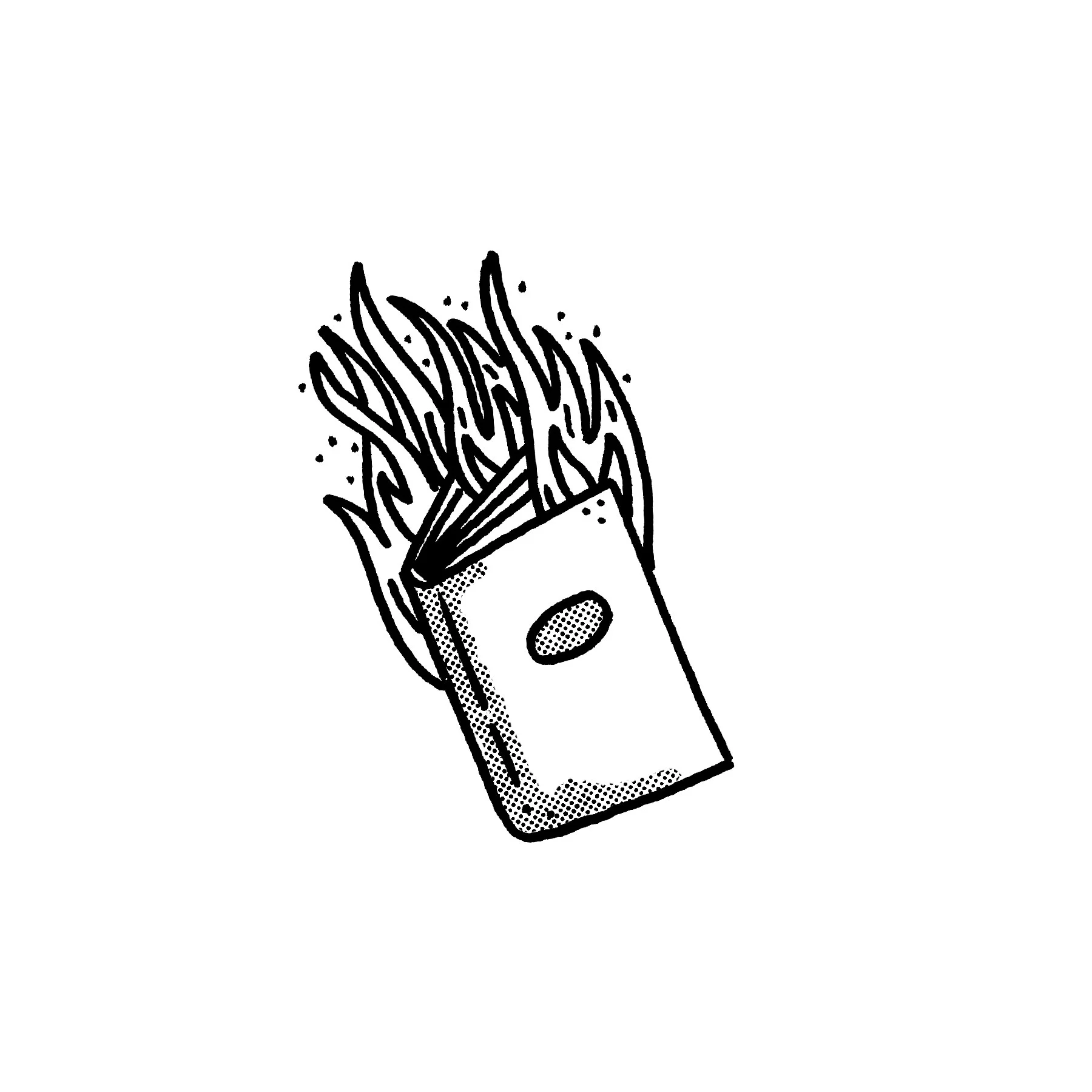 BurningBook.jpg