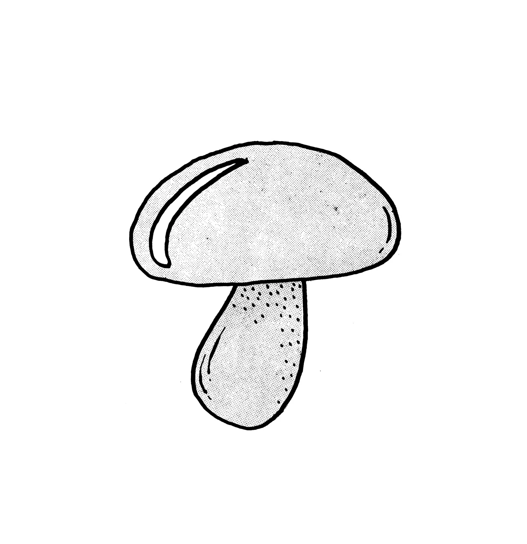 Icon5.jpg