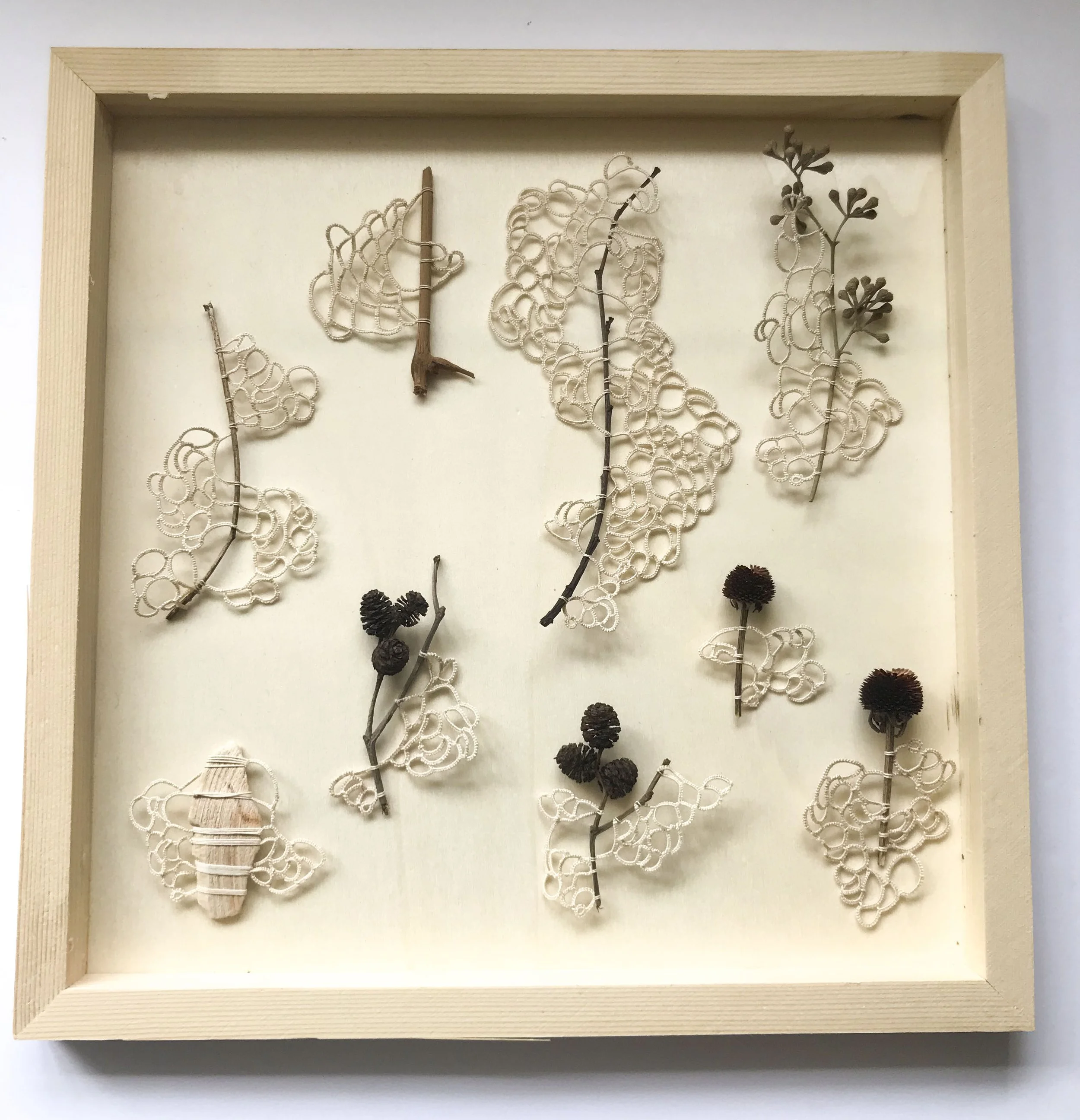 specimen group october 2022.JPG