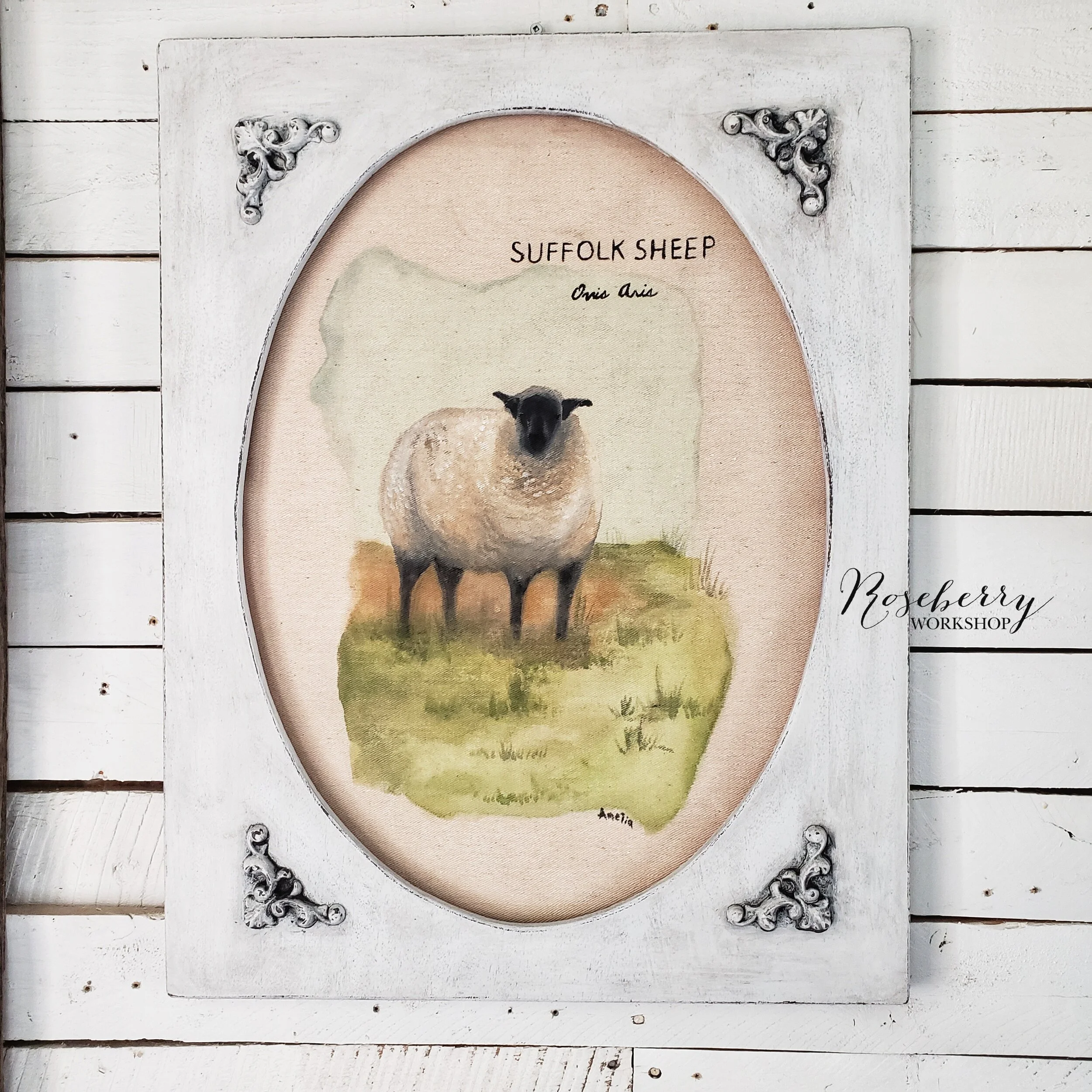 Suffolk Sheep Painting 